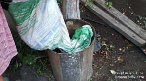 Как правильно сделать удобрение из куриного помета