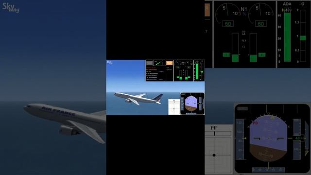 23 - Airbus A330 Air France stalling  Сваливание самолета а330 1_cut_008.mp4