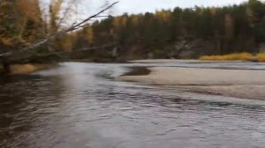 Поездка на р. Вижай и р. Лозьва, за хариузом.