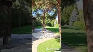 Хутор Ленина, Краснодар. Питомник растений Розовый сад