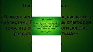 ПАЙГАМБАРЛАР ТАРИХИ 11 - Иброхим алайхиссалом киссаси 4