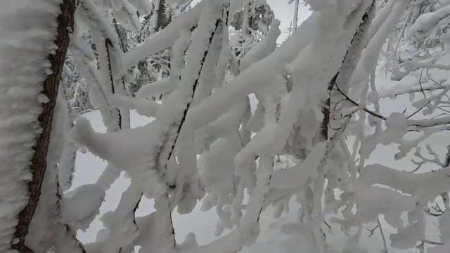 Одна из самых красивых зимних гор Приморья, гора Изюбриная, 1443 метра