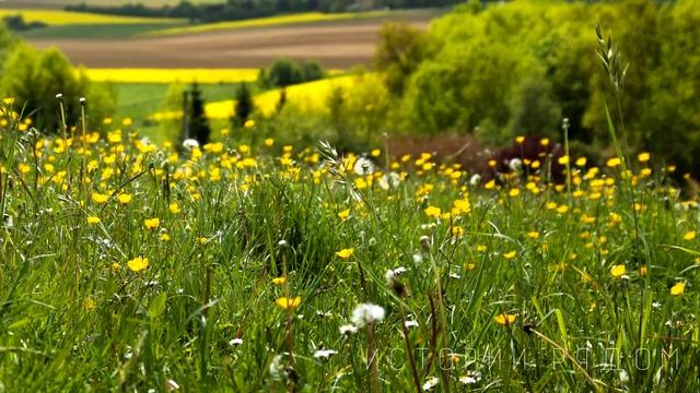 Ты думаешь, что кому-то кроме меня нужна, услышала Алиса от мужа. Но то что произошло потом… смотреть онлайн