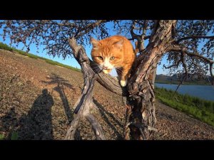 ЗАБРОШЕННЫЕ ПОСЁЛКИ МАГАДАНСКОЙ ОБЛАСТИ ЯБЛОНОВЫЙ И АТКА. ЗАКАТ НА ОЗЕРЕ ГРАНД.