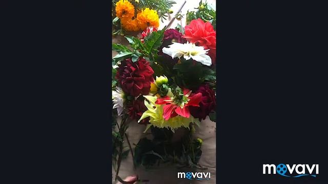 Осенняя композиция из цветов в тыкве. Осенний декор. смотреть онлайн