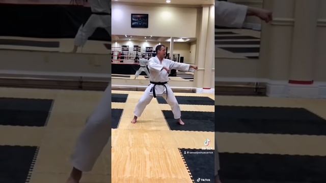 SHOTOKAN KATA TEKKI SHODAN