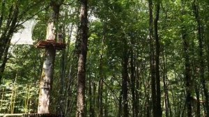 Верёвочный парк в горах Курорта Красная Поляна
