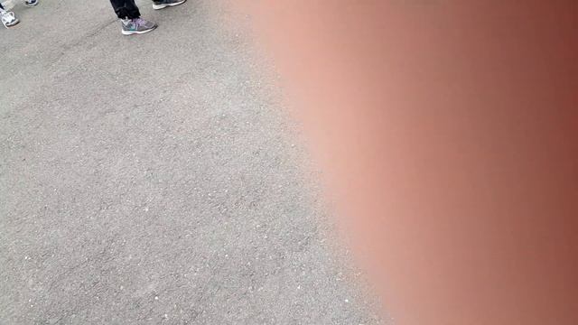 В Бийске прошел первый фестиваль ГТО с участием трудовых коллективов смотреть онлайн