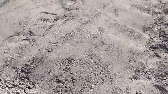 Посев чернушки. Часть 2 смотреть онлайн