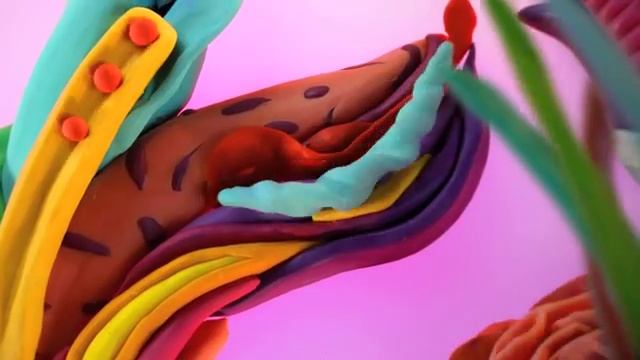 Подарунковий сертификат Сільпо смотреть онлайн