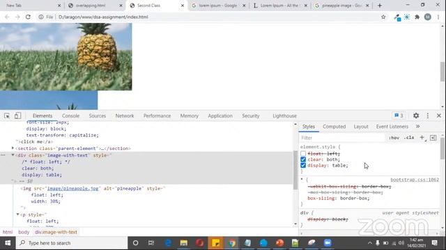 WebDev