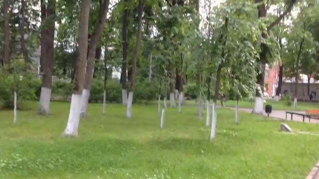 Где будет "День города для людей" или как пройти на НИМ смотреть онлайн