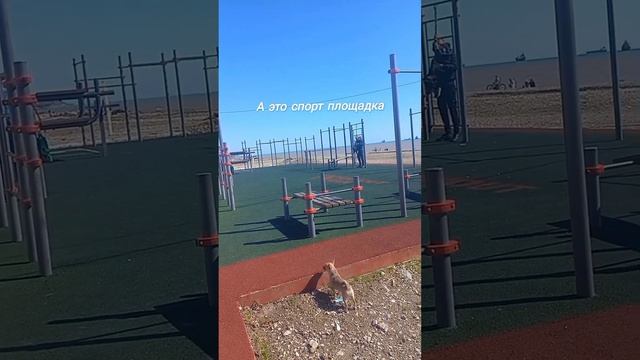 Городской пляж туапсе ? ? ? 2023 смотреть онлайн