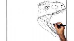 How To Draw The Indominus Rex | Step By Step |