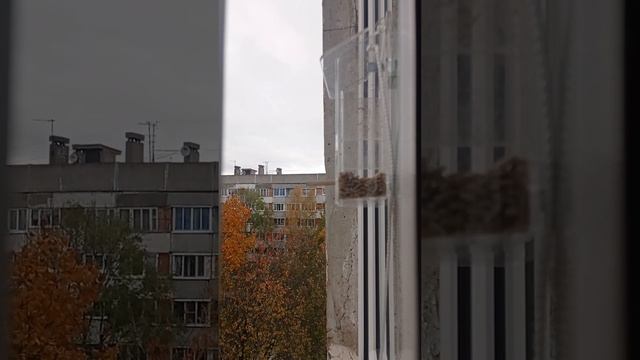 Синички. 5. Марс на посту смотреть онлайн