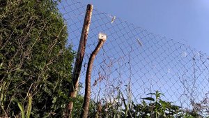 Стрельба из крюгерки будильник 50м