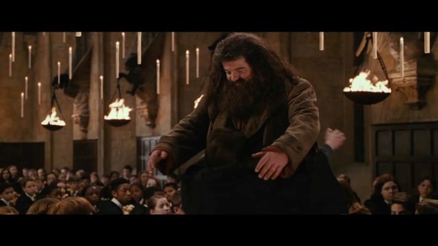 Hogwarts ist nicht Hogwarts ohne dich | Harry Potter und die Kammer des Schreckens смотреть онлайн