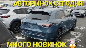 ЛЮТЫЙ АВТОРЫНОК ВЛАДИВОСТОКА