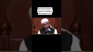 Как ангел смерти пришёл к пророку Муҳаммад с, а, в,?