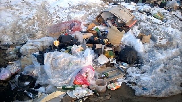 Примеры загрязнения окружающей среды