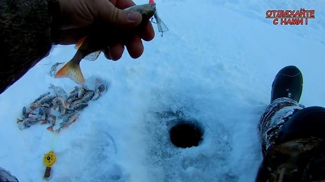 Завершили сезон 2020. Ловля окуня на безмотылку и балансир.Рыбалка на р. Свияга. смотреть онлайн