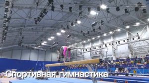 Гимнастика. Гимнастические палки