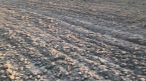 ТХ-850 заглючил. Выбрался на чудесное поле.