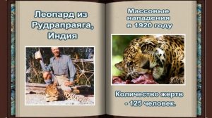 ТОП-10  самых опасных животных - людоедов в истории ?10 most famous animal cannibals in history