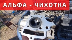 Почему Альфа чихает? Ответ на вопрос прост