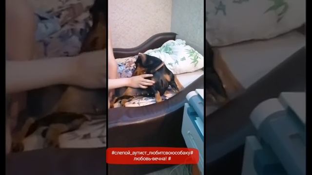 Единственное животное,которое полюбил слепой мальчик аутист и не может и минуты без собаки.