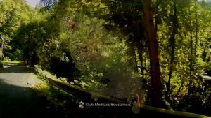 Карибы.8 часть.Мартиника.Вулкан Мон Пеле.