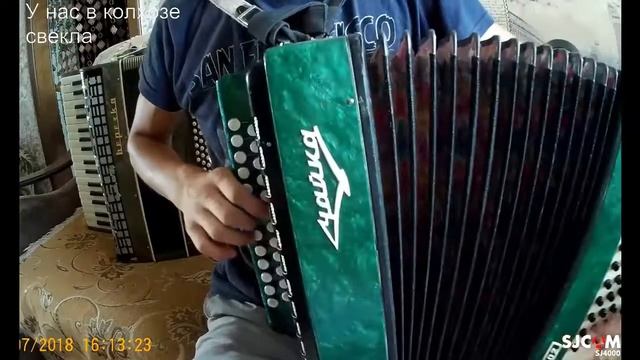 У нас в колхозе свекла / песня на гармони смотреть онлайн