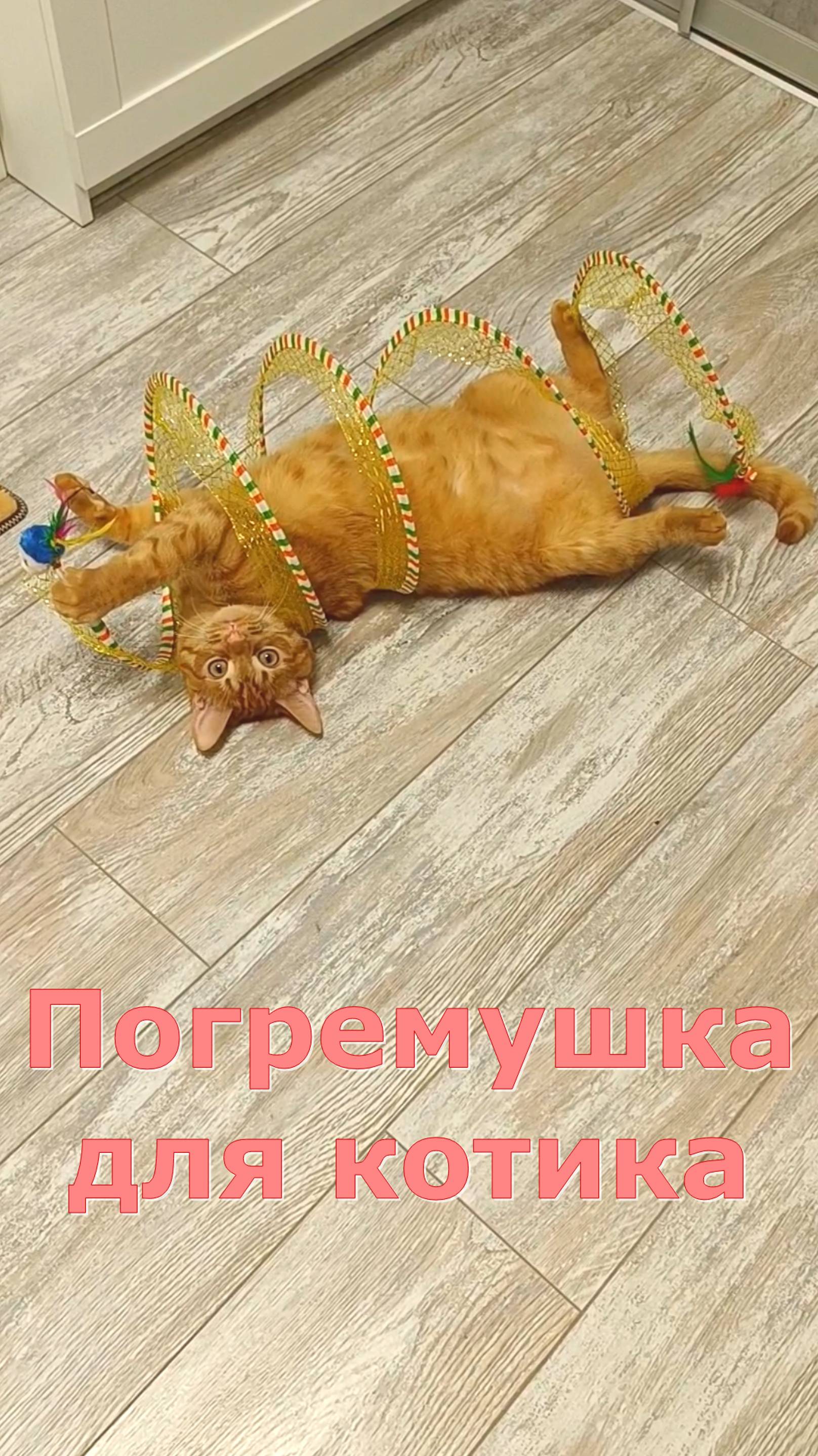 Погремушка для Котика. Кот Феня, он же Феникс