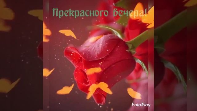 Добрый вечер! Красивая музыкальная видео ОТКРЫТКА с добрым вечером!