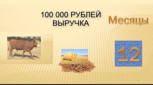 Разбираемся, почему не получилось заработать на откорме бычков