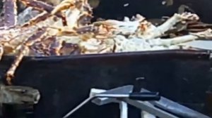 Ловля Краба - ловушка, Большой пойманный король Краббинг в море