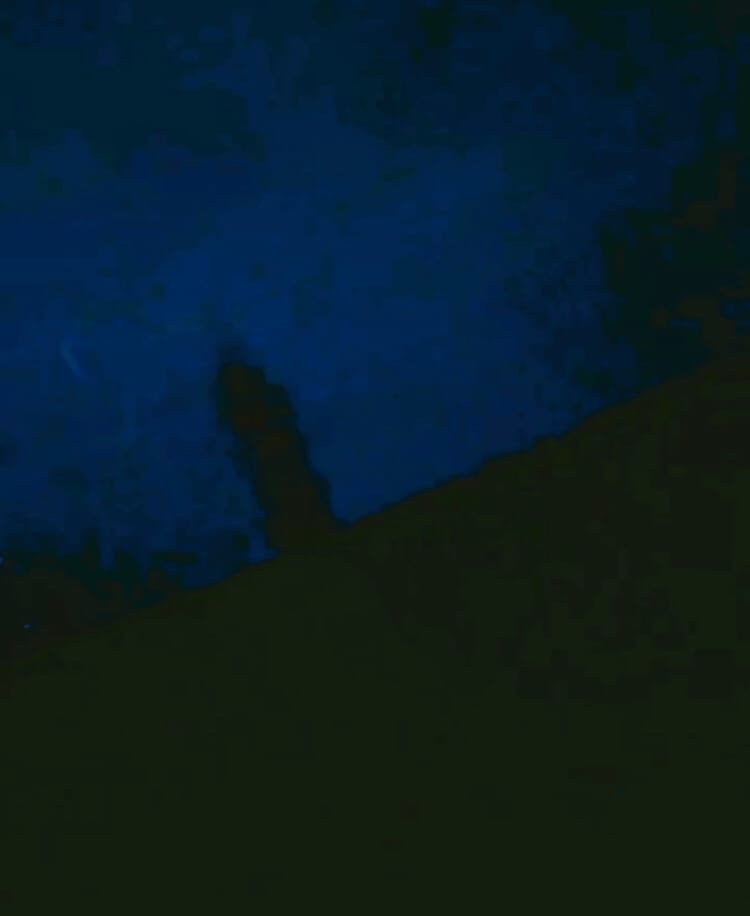 MrBogomol - Loop Station BOSS RC-505 — Change Of Mood (Anger) (Премьера трека, 2022) смотреть онлайн