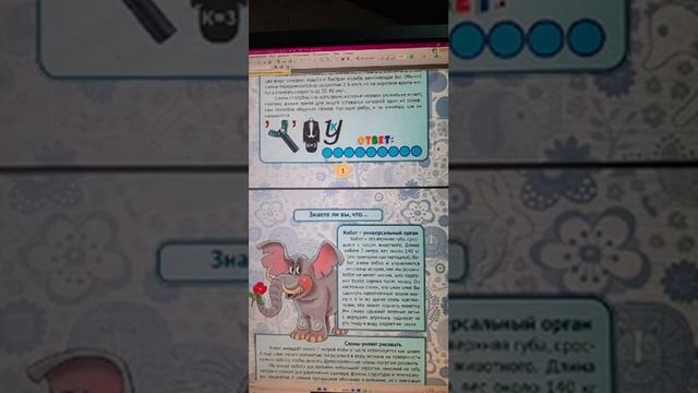 Книга "Удивительная энциклопедия о животных упомянутых в Коране" "Слон" (читаем онлайн) смотреть онлайн