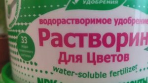 Бугенвилии - удобрения для цветения и роста!!!