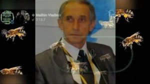 Двух семейное ,двух маточное. ( Разница)