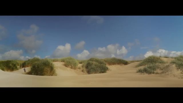 Mi Amor by Harry Lime Tango - (Official Video) смотреть онлайн