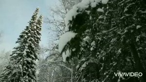 Пояснение трупного высыхания.