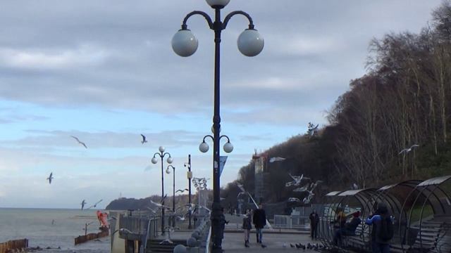 муз. А. Слизунова сл.С. Намина "Бах творит" смотреть онлайн