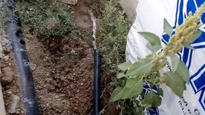 Разводка воды на участке(дом своими руками)