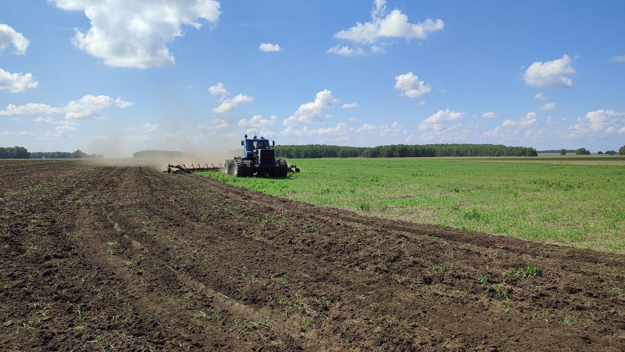 Обрабатываем пары т150к+лдг10.подгоревшая пшеница смотреть онлайн