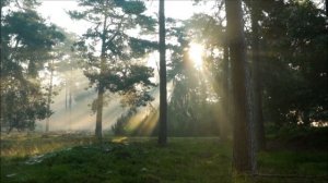 Секрет Силы.mp4