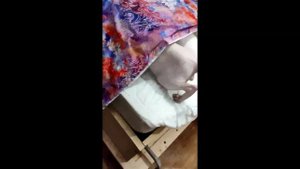 Черный мангобей