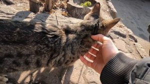 Прогулка в городе Ереван. Поход на рынок, прогулка по городу, атмосфера Еревана. Армения, 2023 год.