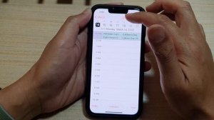 iPhone 13/13 Pro: How to Change Calendar View to Day/Week/Month/Year