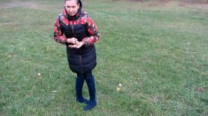 Одношаговое Тайцзи Улыбки